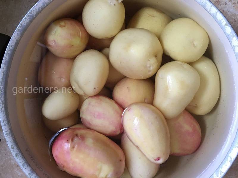 Как приготовить вкусный и полезный картофель на пару