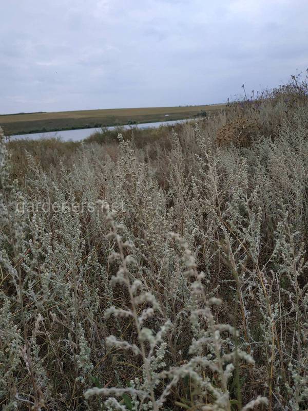 Загородная жизнь