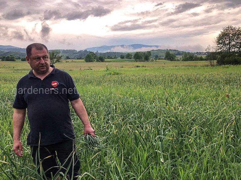 Встречи, мероприятия, фото компаний