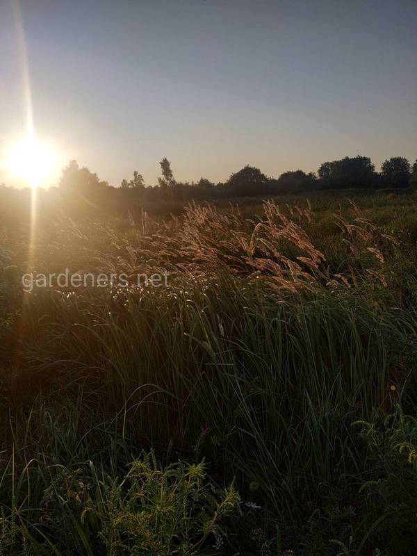 Загородная жизнь