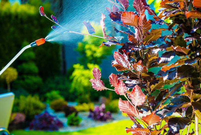 Сад и огород