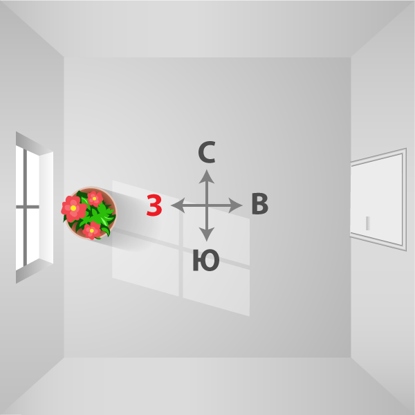 Встречи, мероприятия, фото компаний