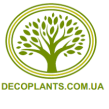 Інтернет-магазин Decoplants.com.ua