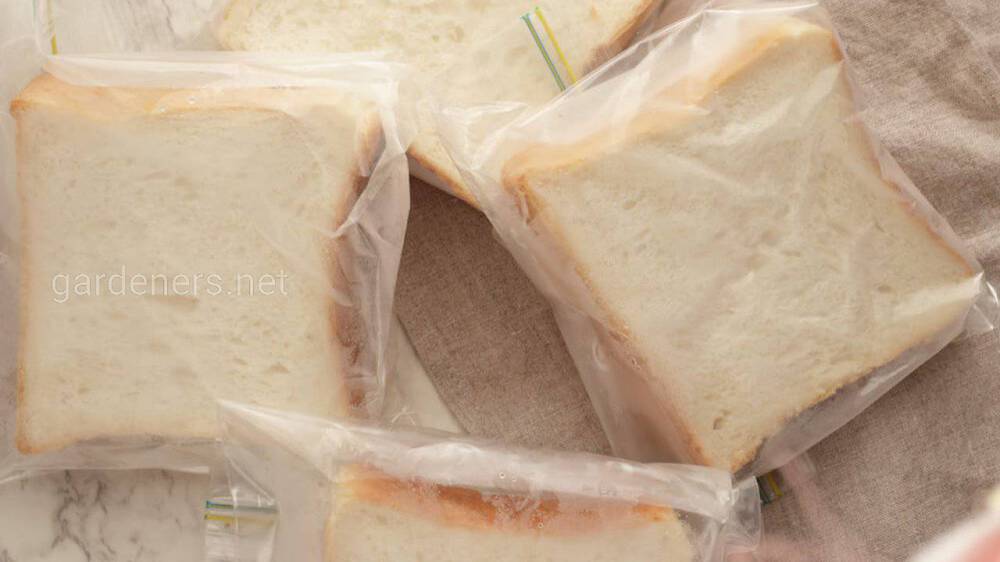 Правила заморозки хліба