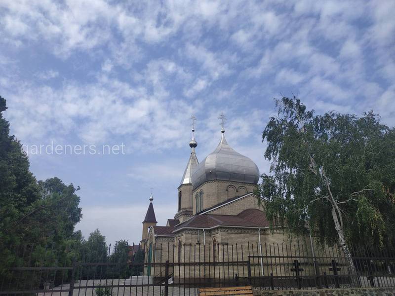 Загородная жизнь