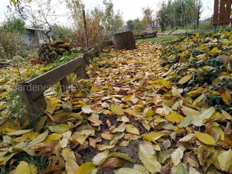 Загородная жизнь