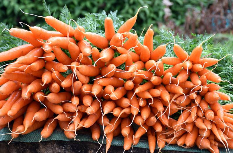 Тушкована морква