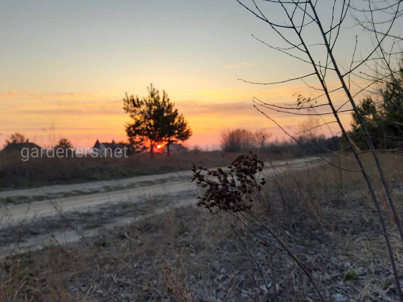 Загородная жизнь