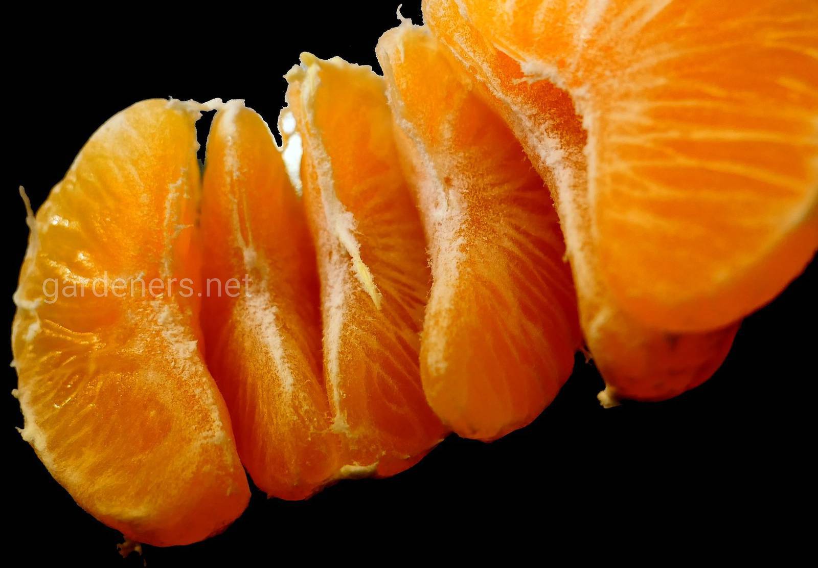 Мандарин 35. Долька мандарина. Мандарин (фрукт). Разрезанный мандарин. Мандарин на черном фоне.