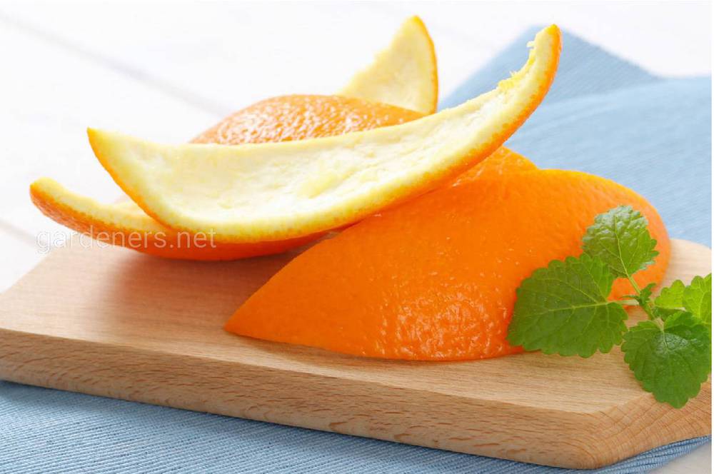 апельсиновые корки