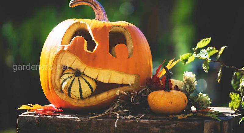“Фруктово-овощные” украшения на Хэллоуин: мастерим страшно красивые предметы декора из даров огорода