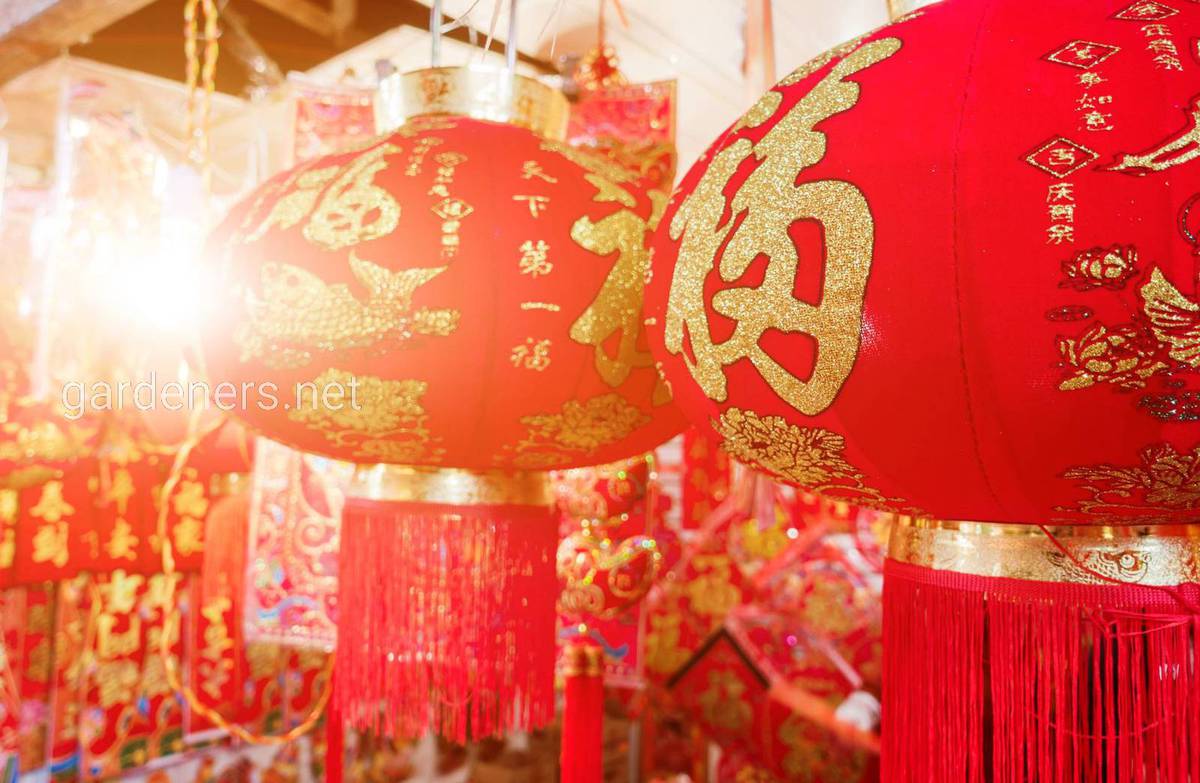 Традиции нового года в Китае