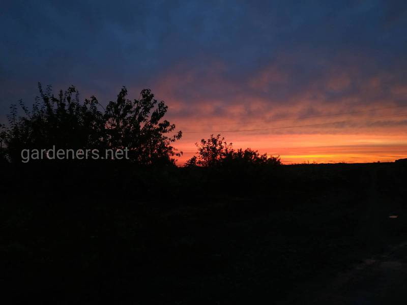 Загородная жизнь