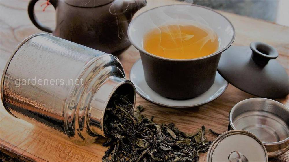 Традиции чаепития в Индии
