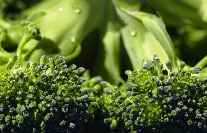 Які умови сприятливі для вирощування броколі?