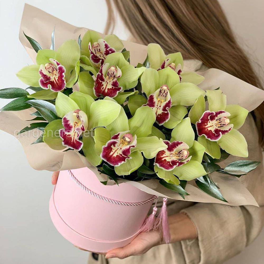 Букет орхидей