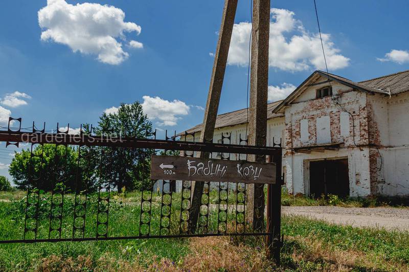 Встречи, мероприятия, фото компаний