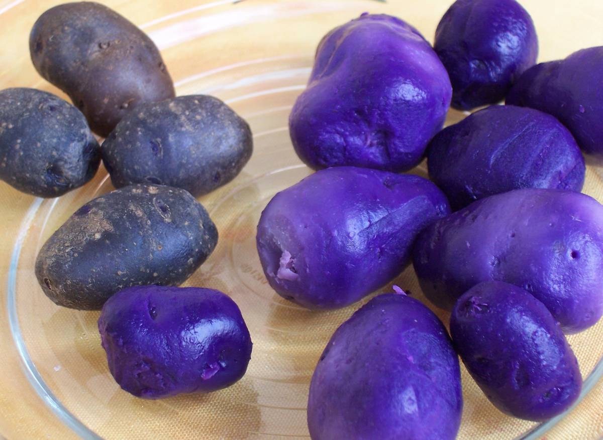 Фиолетовый картофель 
