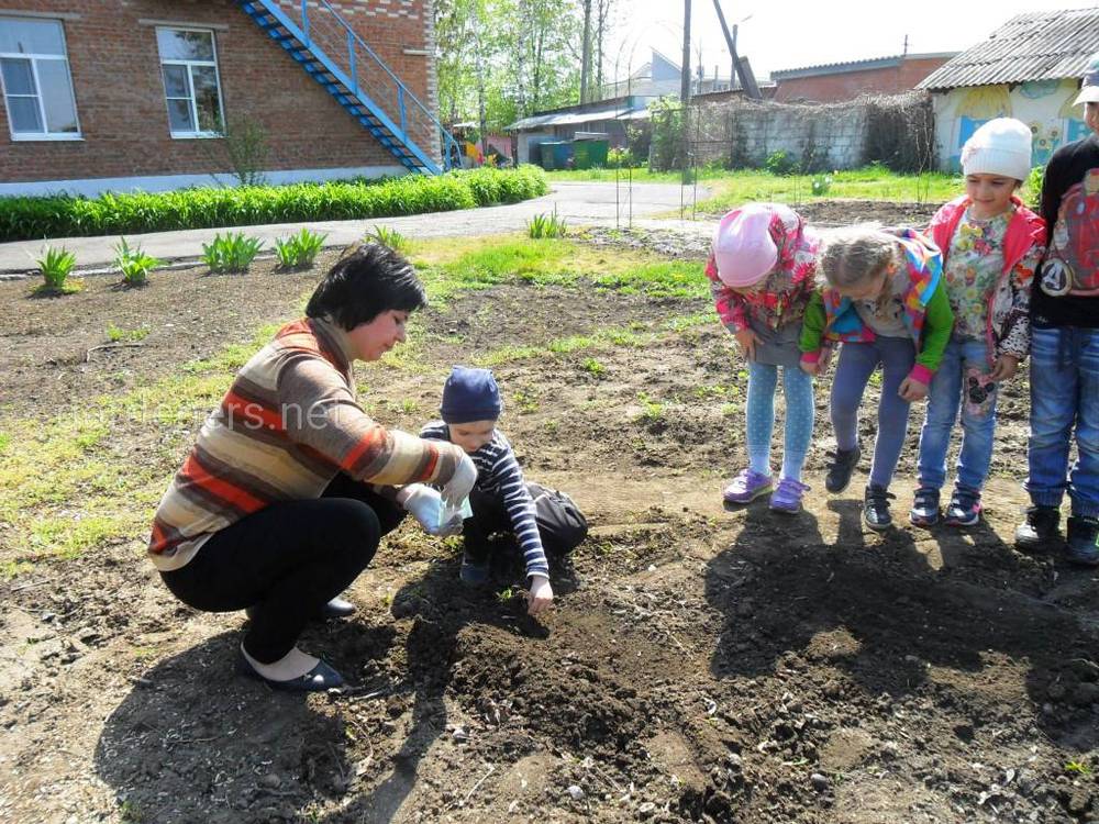 Діти та догляд за садом