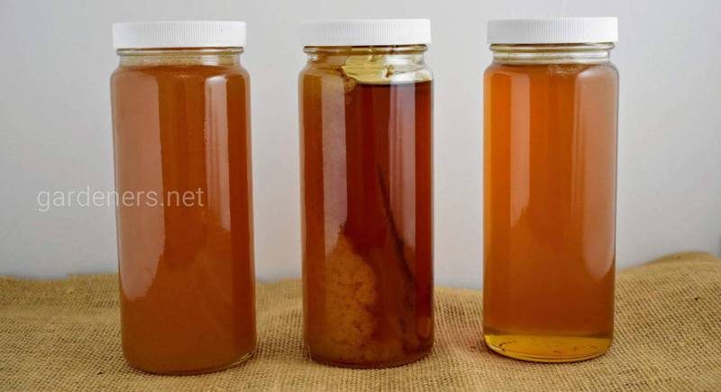 Кристаллизация меда нормальный и естественный процес