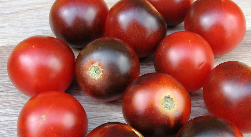 Лучшие сорта высокорослых томатов черри для вашего участка