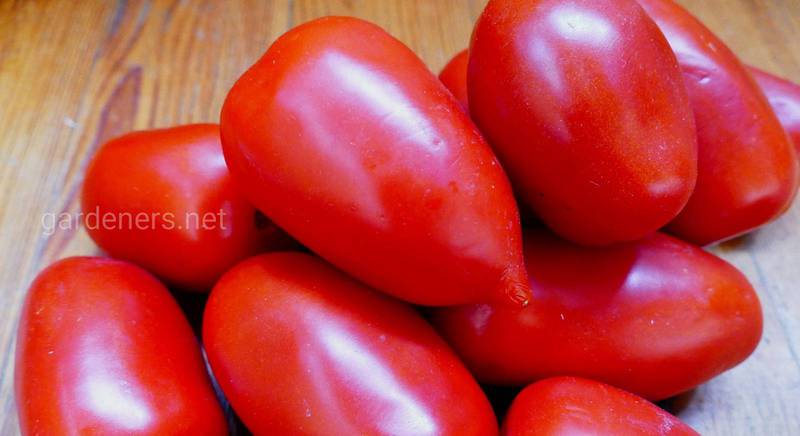 ТОП-10 томатов, которые слаще меда