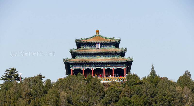 В центре самый большой (из 5-ти) - Павильон Вечной Весны (гора Цзиншань, Пекин)