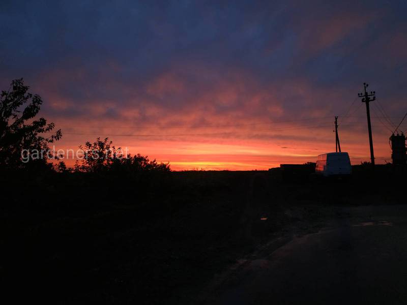 Загородная жизнь