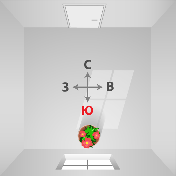 Встречи, мероприятия, фото компаний