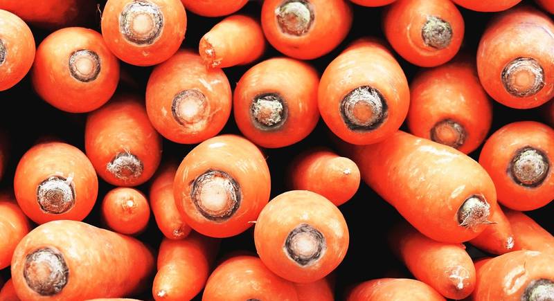 Лучшие сорта моркови. Время выбирать!
