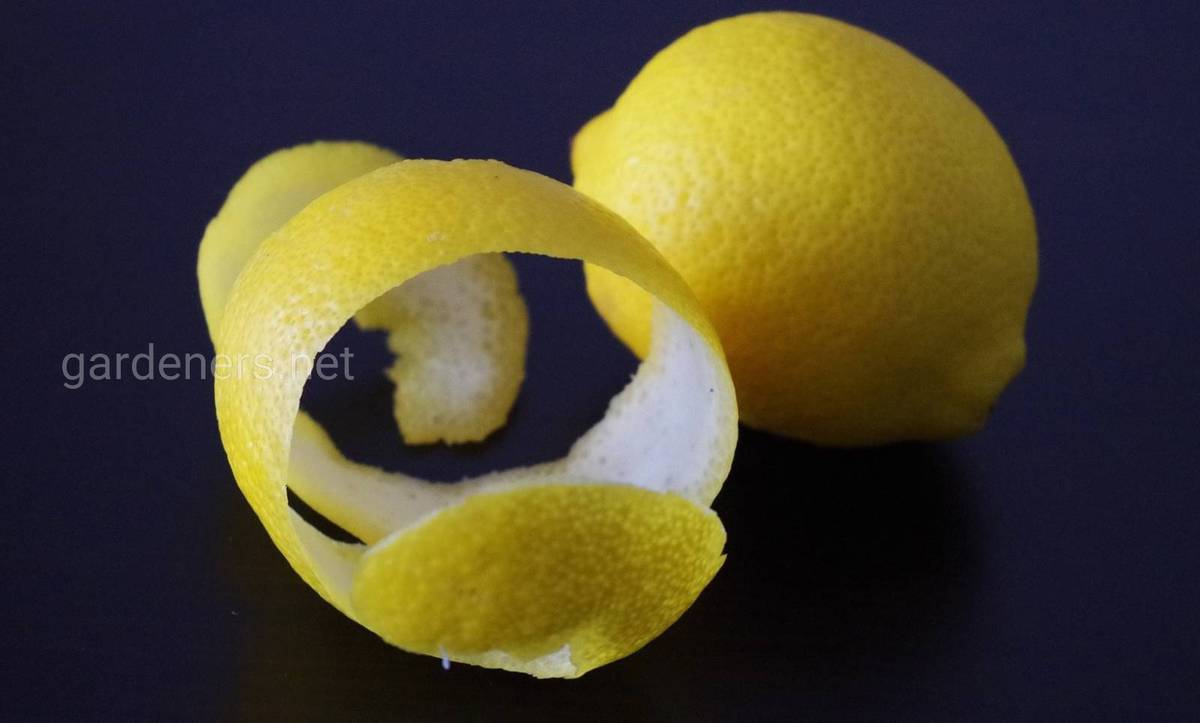 цедра лимона от кашля