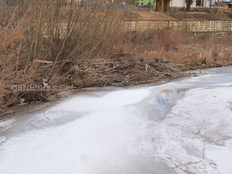 Загородная жизнь