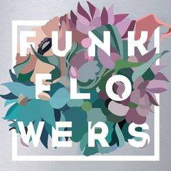 Компания Funk Flowers