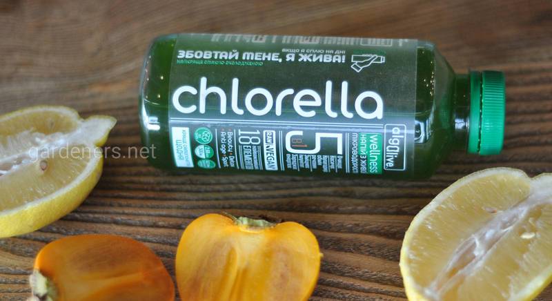 Полезные питательные вещества Chlorella