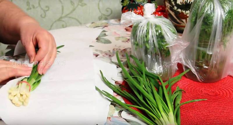 Загородная жизнь