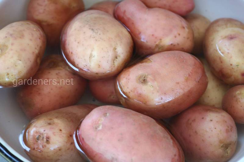 Якого способу приготування картоплі варто уникати