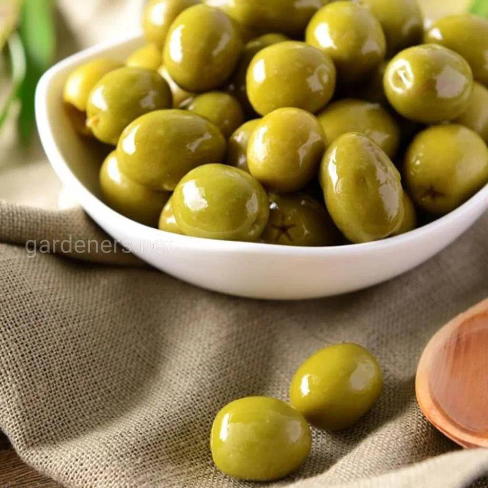 Мариновані оливки по-грецьки