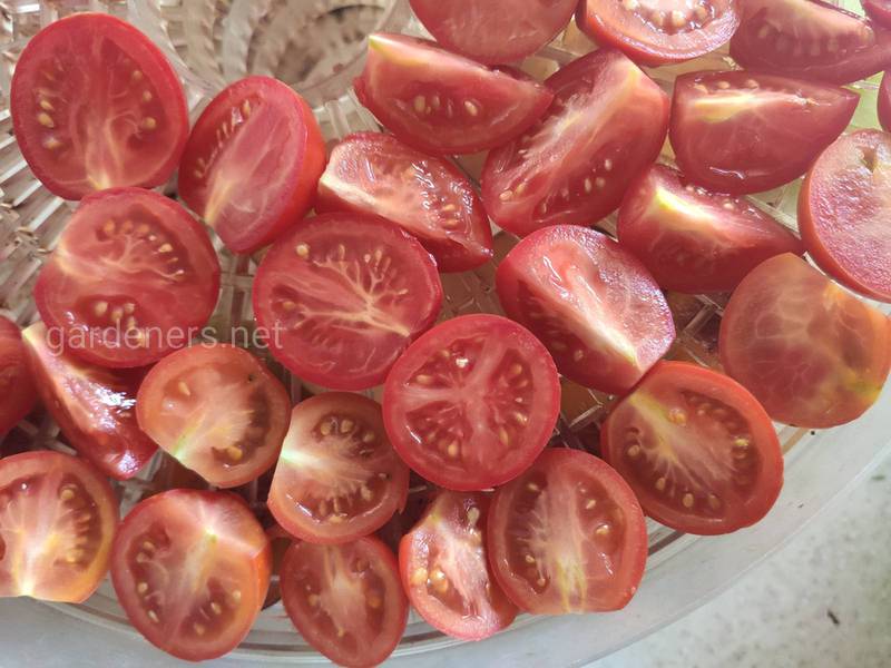 Де викорустовувати сушені томати.