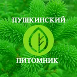 Пушкинский питомник декоративных растений