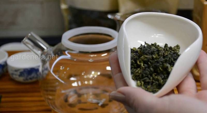 Чай улун - природний жиросжигач