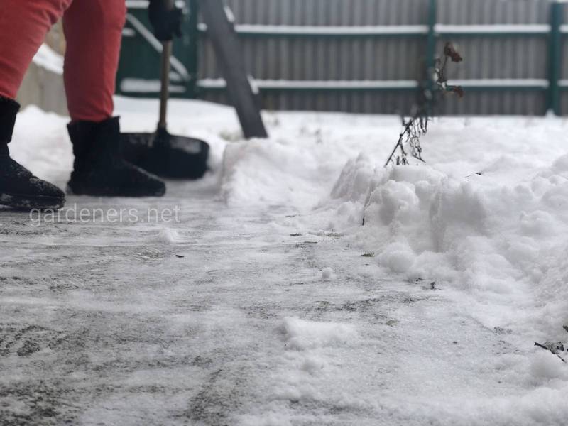 Загородная жизнь