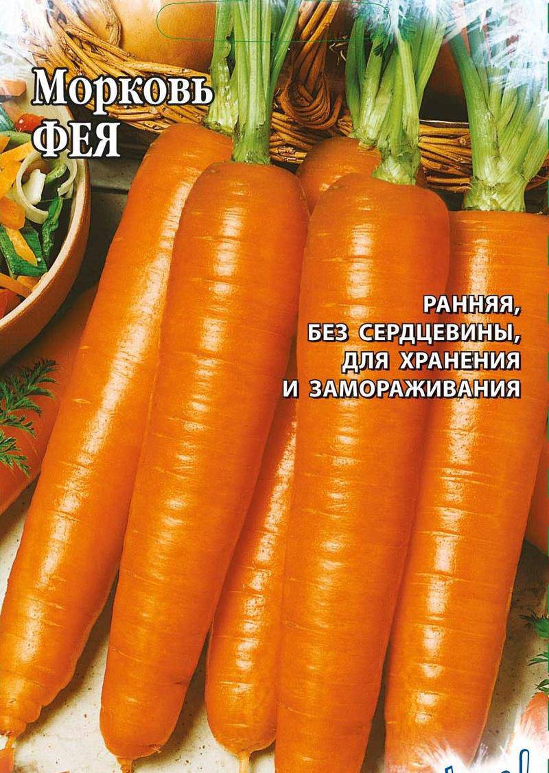 Сорт моркови Фея