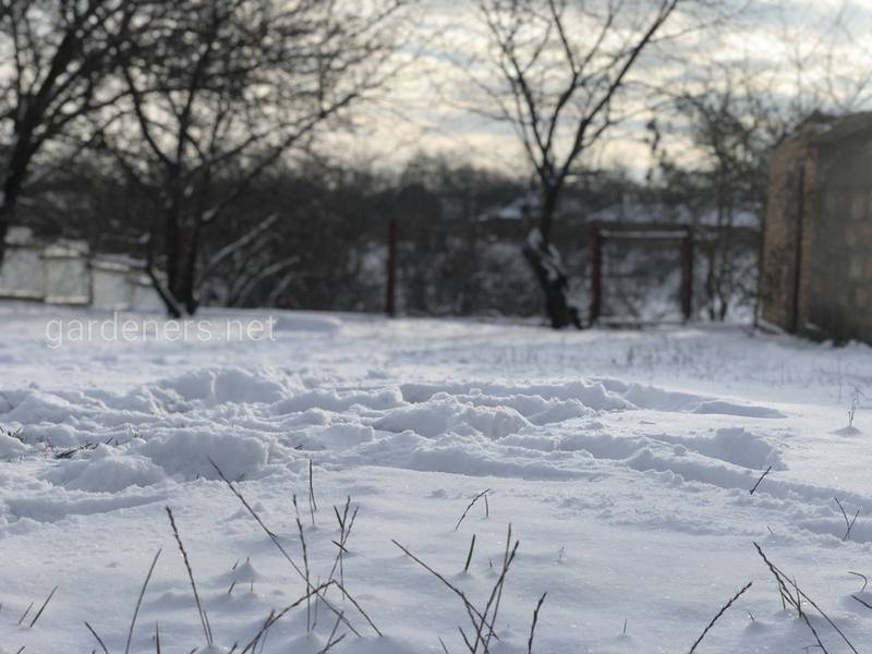 Загородная жизнь