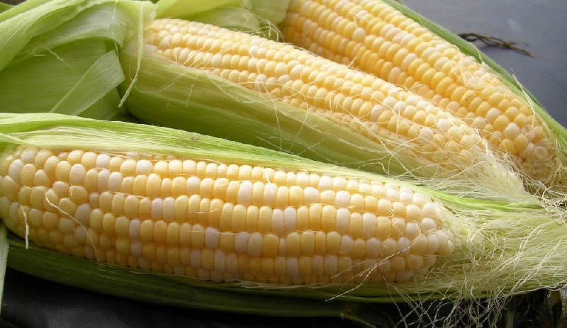 Різновиди кукурудзяної крупи