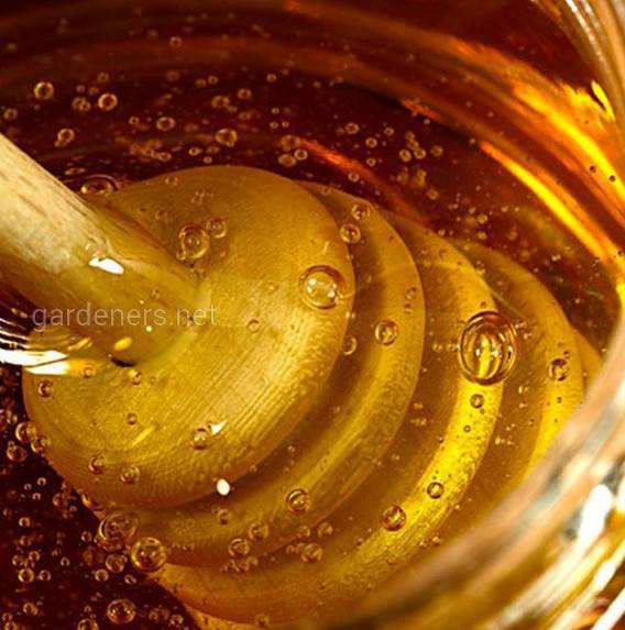 Луговое разнотравье мед