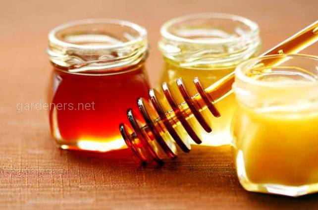 Застосування шавлієвого меду в лікувальних цілях