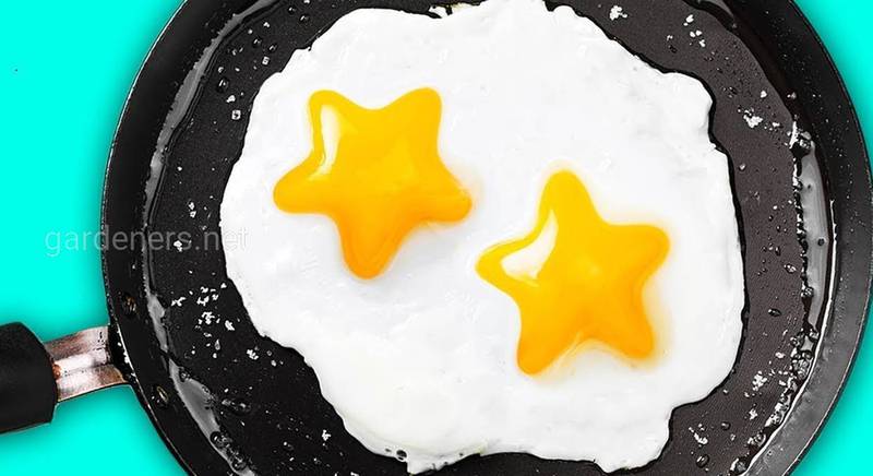 15 лучших лайфхаков для приготовления яиц
