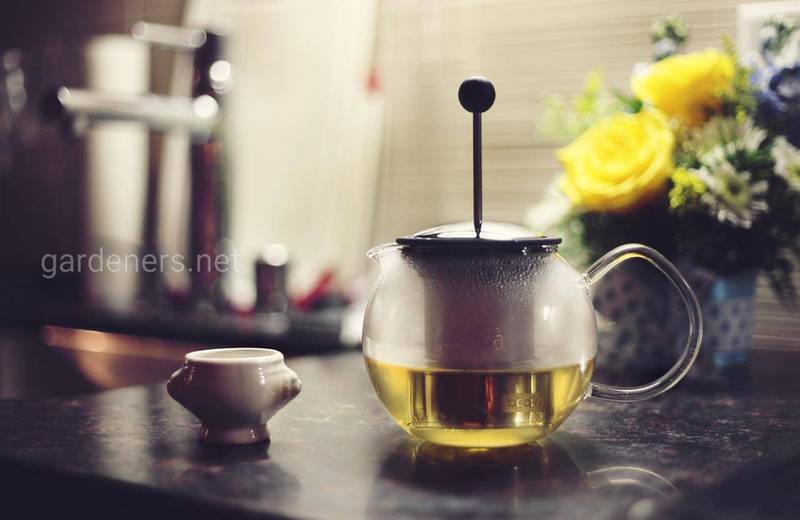 Рецепт чая з апельсиновим соком 