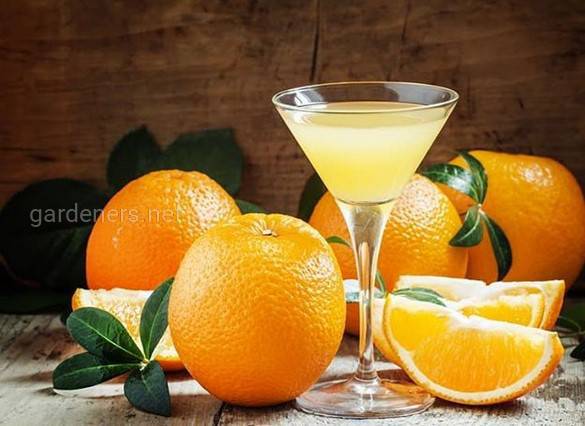 Апельсиновый ликер