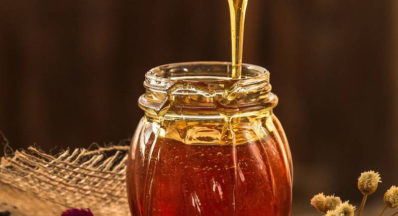 Мед гірчака почечуйного. Корисні властивості і правила зберігання меду